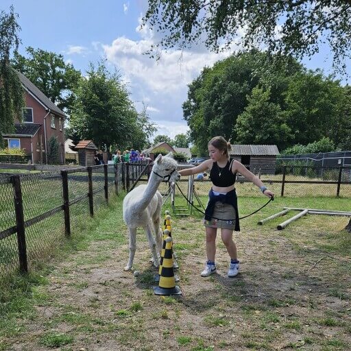 AlpacAgility