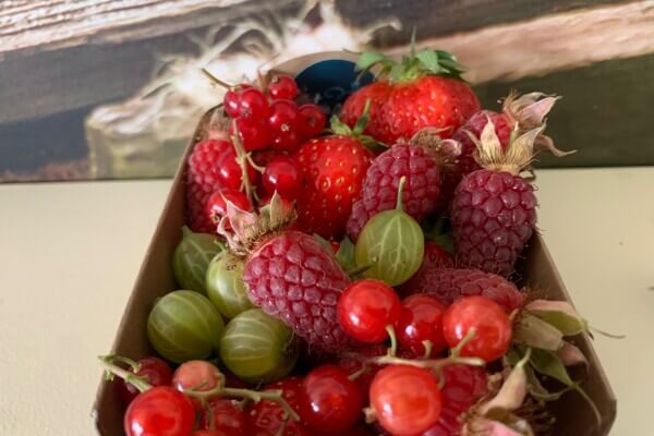 Fruitmix fris-zoet