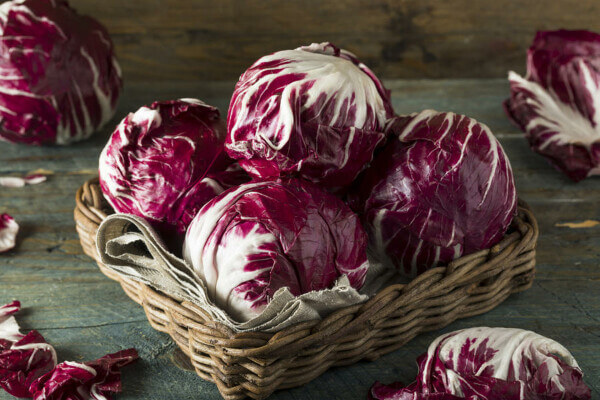 Radicchio (roodlof)