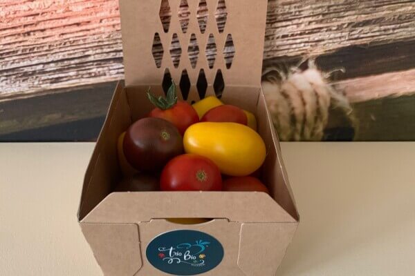 Tomaten: kerstomaatjes
