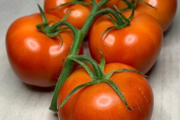 Tomaten