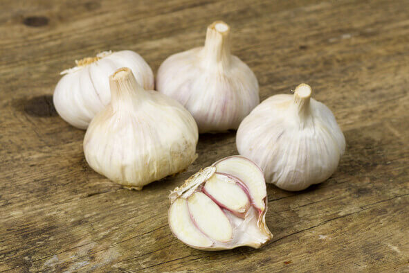 Knoflook